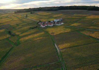 champadrone-pilote-drone-professionnel-aisne-marne-vignes-vignoble-drone-automne