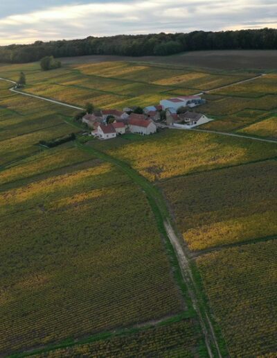 champadrone-pilote-drone-professionnel-aisne-marne-vignes-vignoble-drone-automne