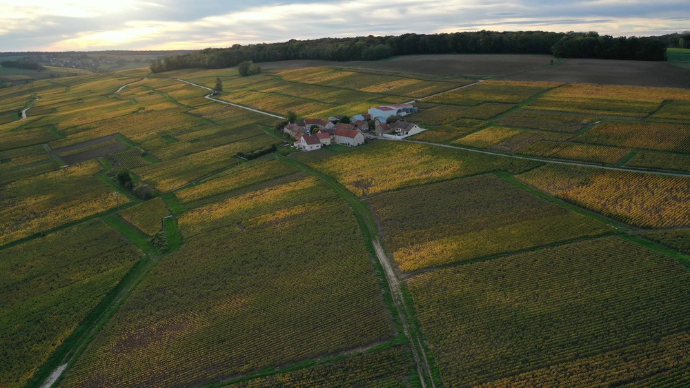 champadrone-pilote-drone-professionnel-aisne-marne-vignes-vignoble-drone-automne